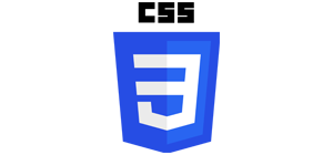 css-ismart-web-service-best-mlm-software-development-company