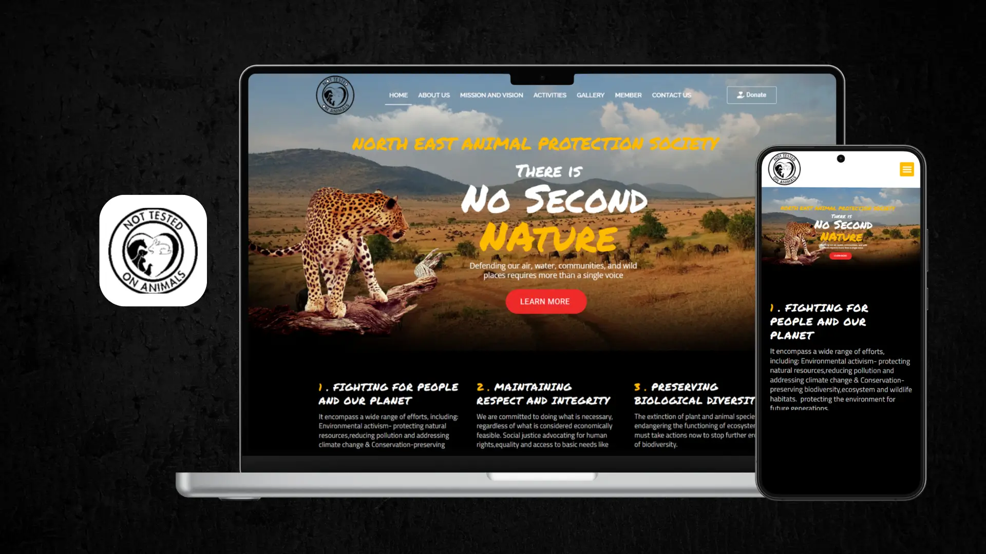 NEAPS website design and development by iSmart Web Service using WordPress and Elementor
